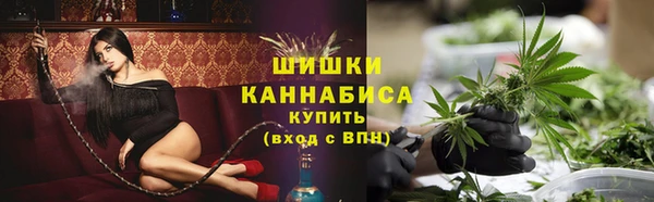 гидра Абаза