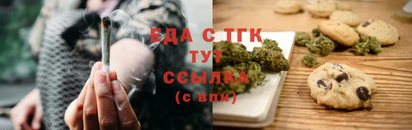 гидра Абаза