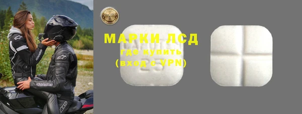 гидра Абаза