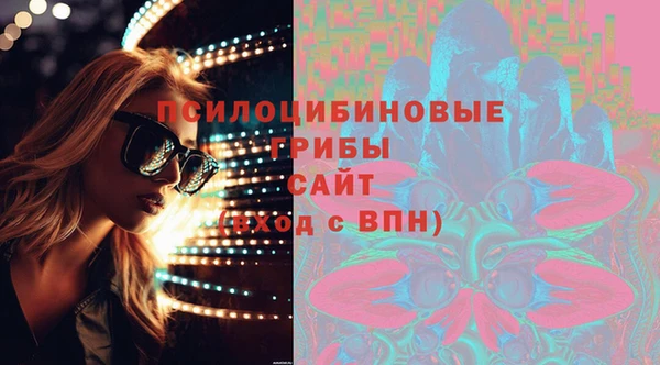 гидра Абаза