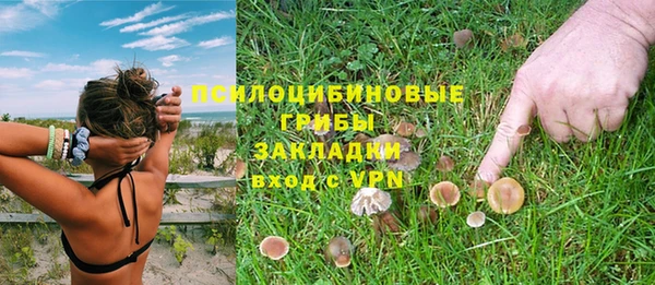 гидра Абаза